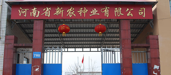 新農(nóng)種業(yè)