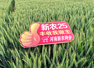 產(chǎn)品特點(diǎn)